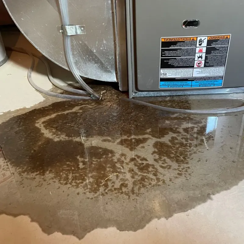 Pipe Burst and Leak Restoration in Shelby County, TN