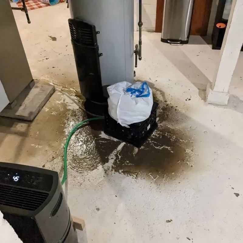 Sewage Backup Cleanup Service in Shelby County, TN